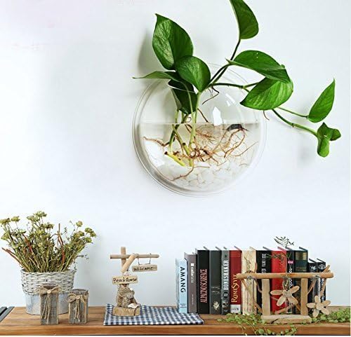 Wall-Mounted Acrylic Fish Tank & Plant Holder, 1-Gallon