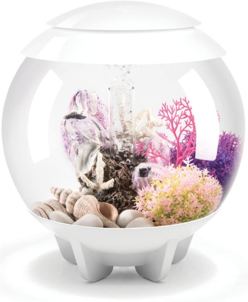 4-Gallon Compact Acrylic Aquarium with LED Lights, White