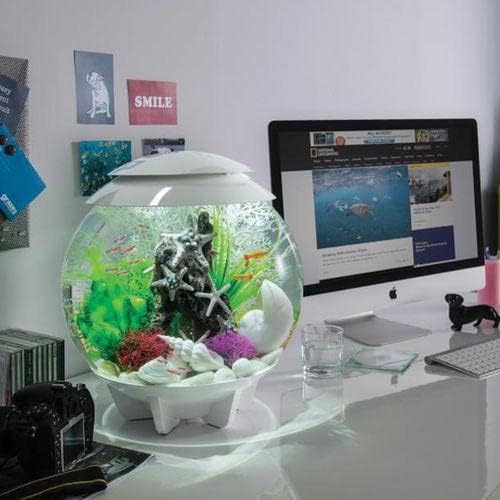 4-Gallon Compact Acrylic Aquarium with LED Lights, White