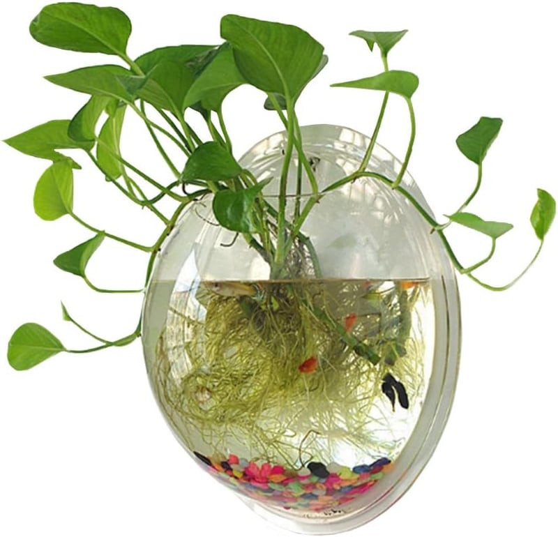 Wall-Mounted 1-Gallon Fish Tank with Clear Bubble Design