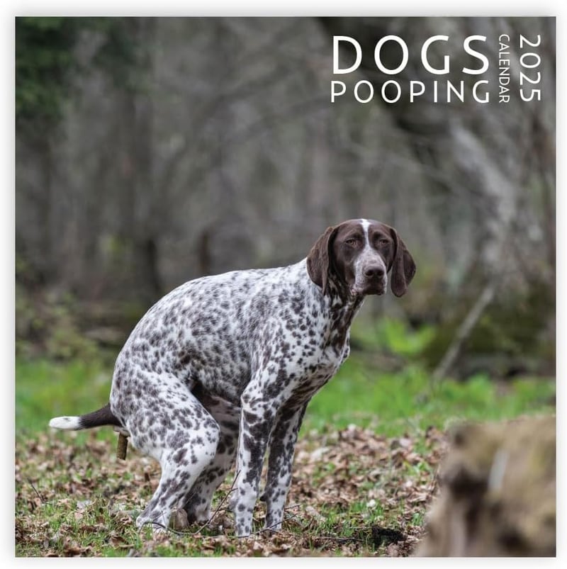2025 Dog Pooping Calendar, 12x12 Inch, Funny Gag Gift