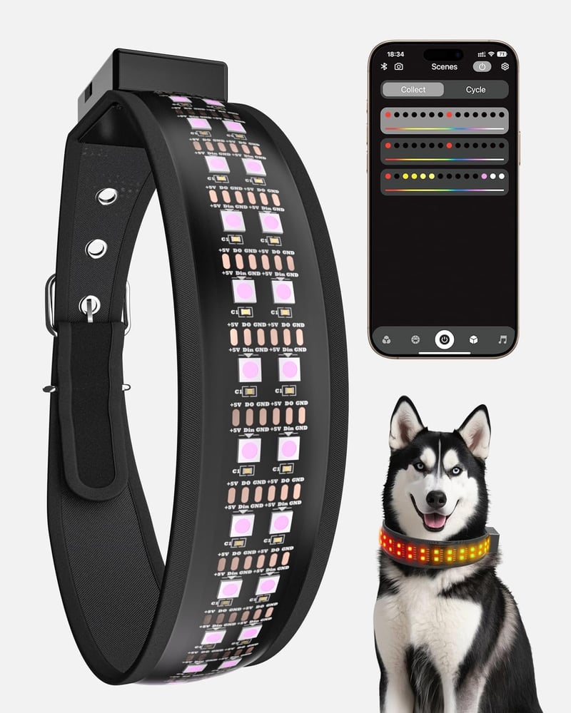 Rechargeable LED Dog Collar - App Controlled, 25 Modes