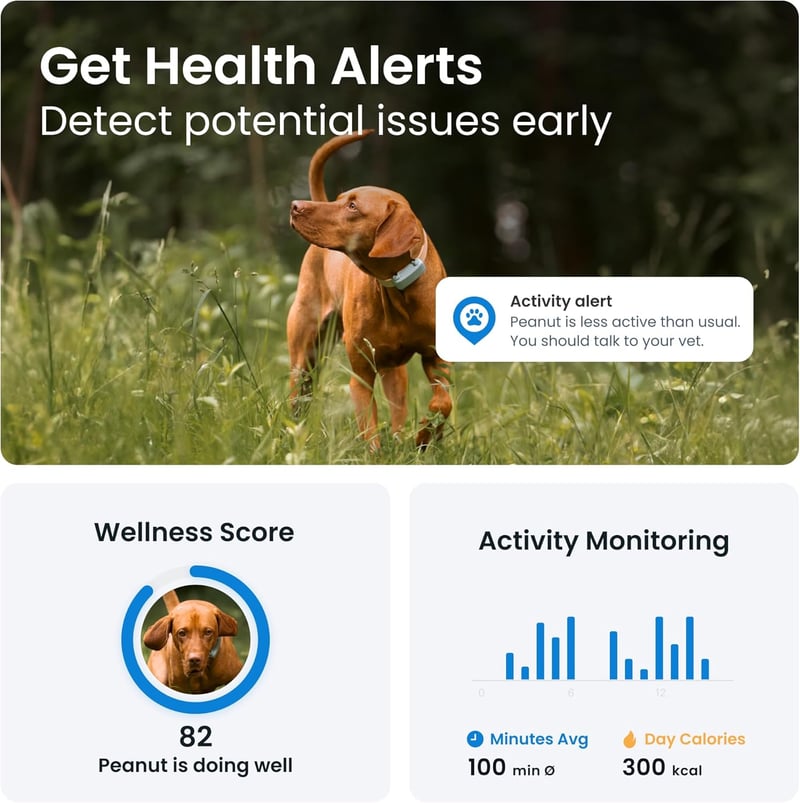 2025 Tractive GPS Dog Tracker with Health Alerts & Virtual Fence
