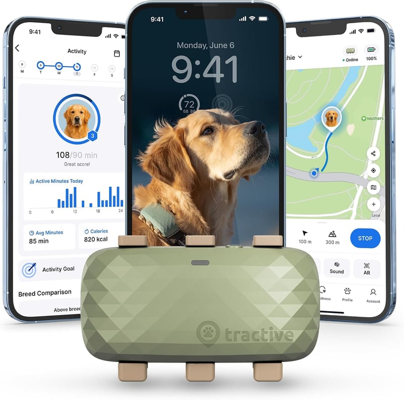 XL GPS Dog Tracker with Virtual Fence and Health Alerts (Green)