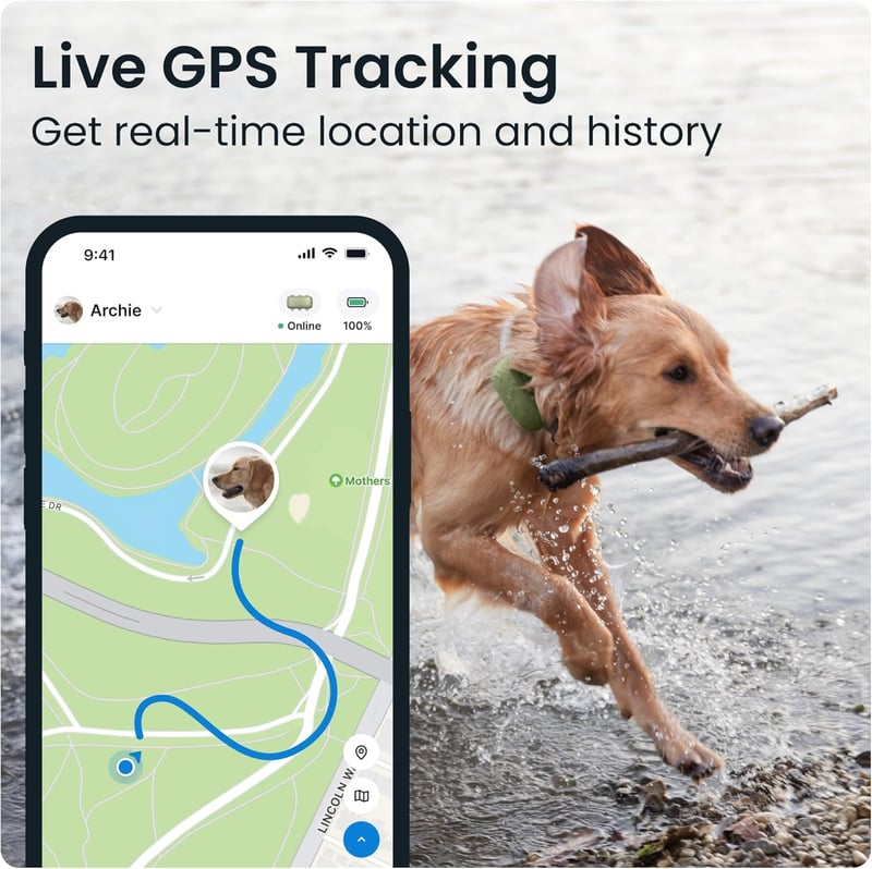 XL GPS Dog Tracker with Virtual Fence and Health Alerts (Green)