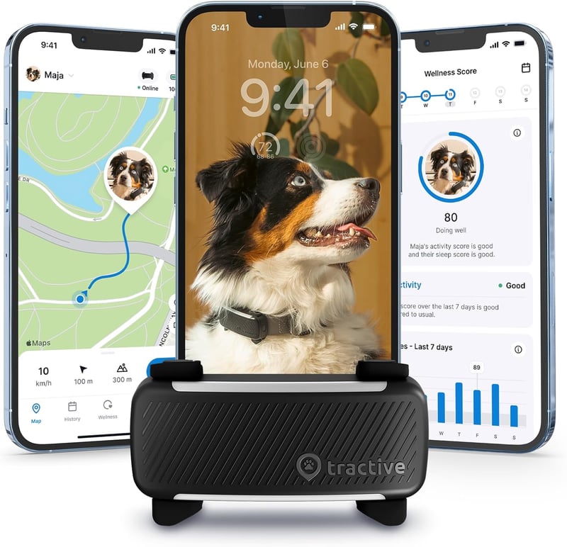 2025 GPS Dog Tracker with Virtual Fence & Health Alerts, Black