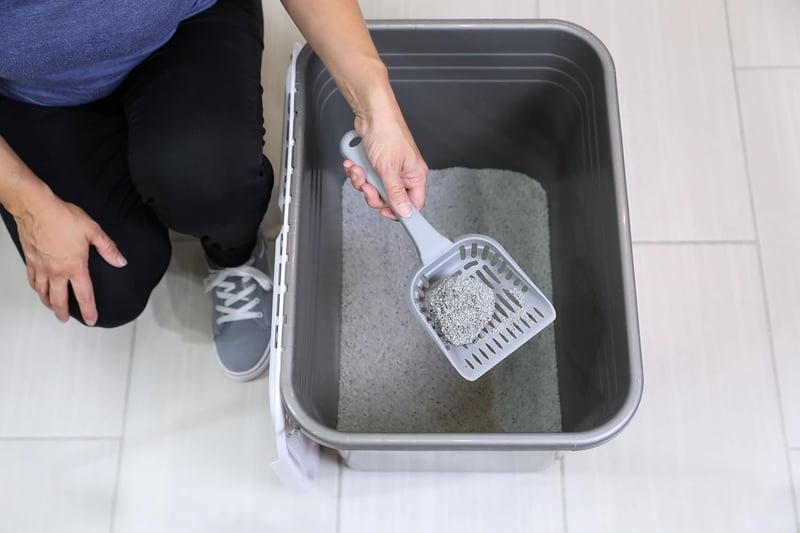 Top Entry Cat Litter Box with Filter Lid, Made in USA