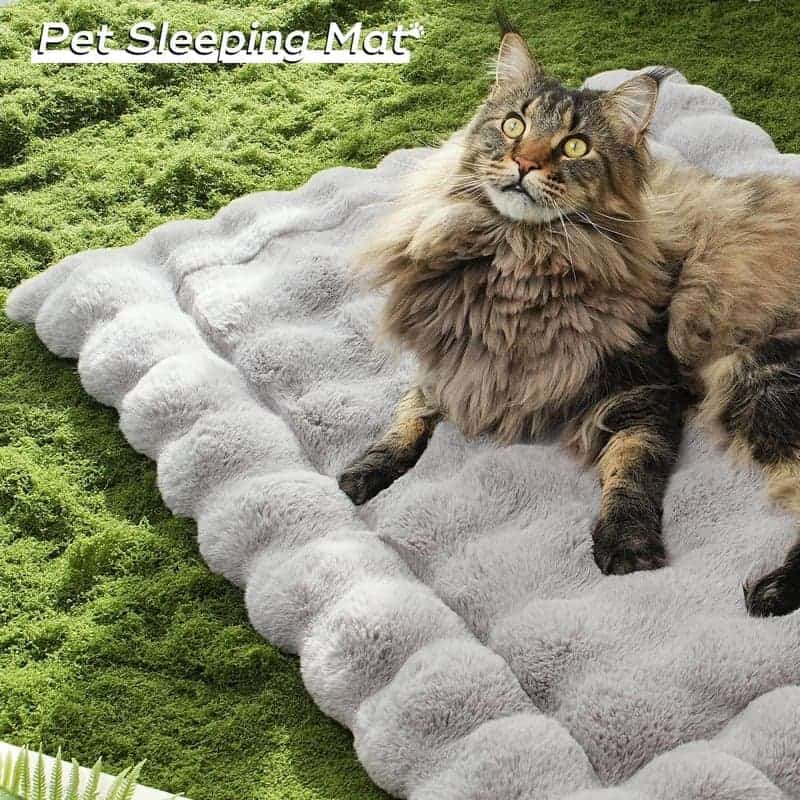 Plush Cat Bed with Non-Slip Bottom, Faux Fur, Washable, Medium