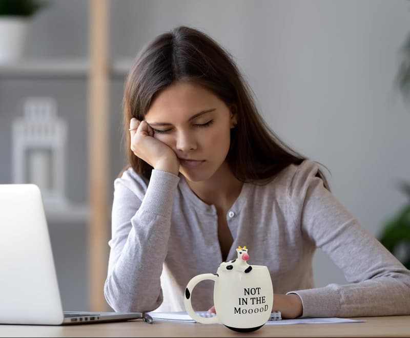 Valentine's Day Cow Mug, 14 oz Gag Gift for Adults