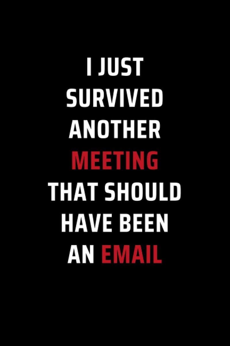 Secret Santa Gag Gift: Funny Meeting Survival Journal