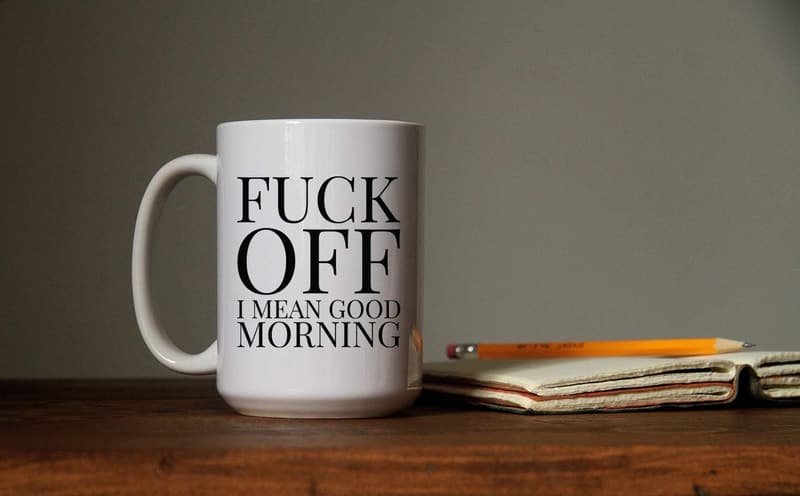 Gag Gift Sarcastic 15 oz Coffee Mug for Adults