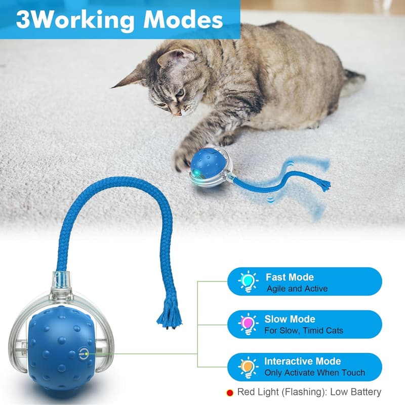 Interactive Blue Cat Ball Toy - Motion Activated Chirping