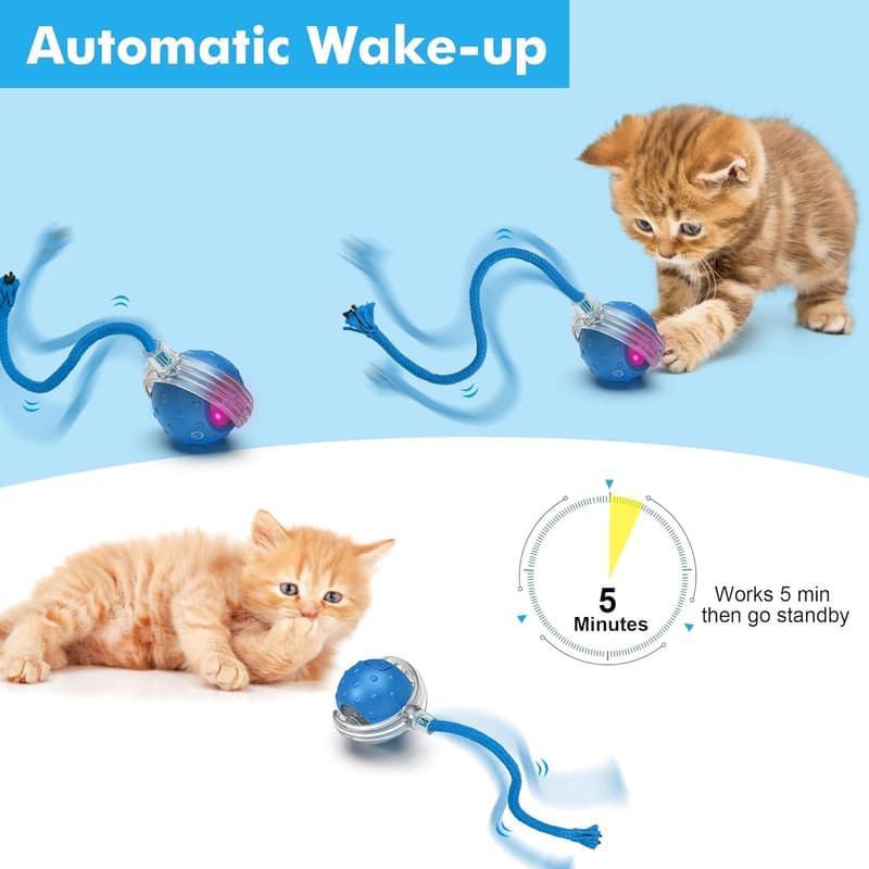 Interactive Blue Cat Ball Toy - Motion Activated Chirping