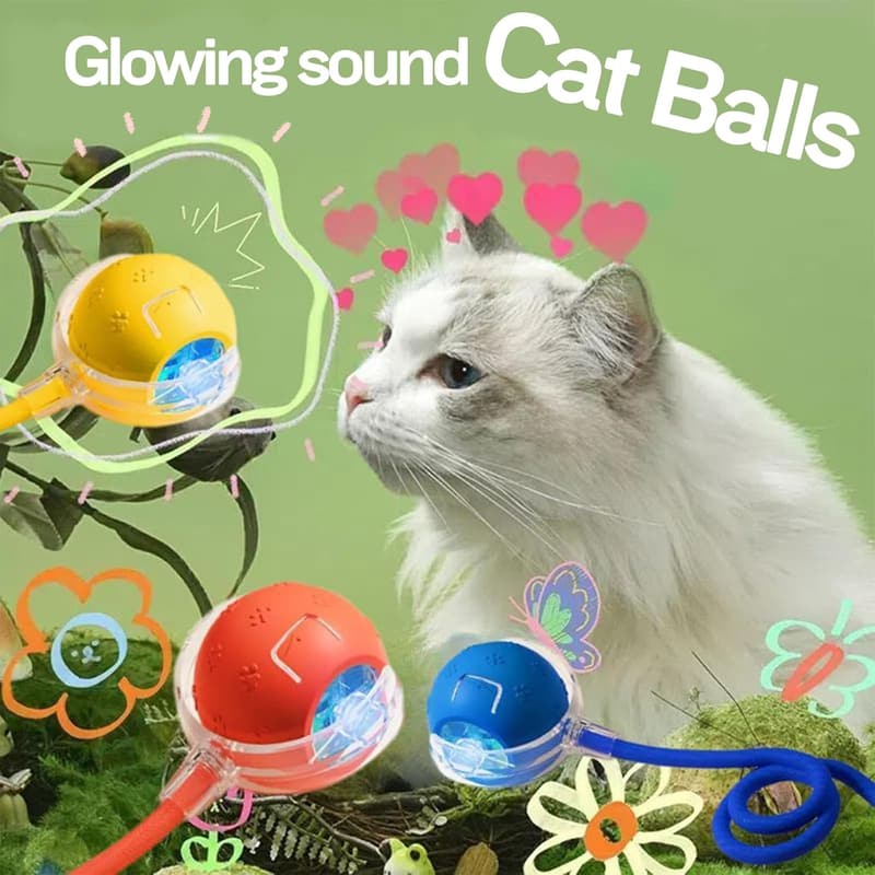 Interactive Rolling Ball for Cats & Dogs, Chirping Action