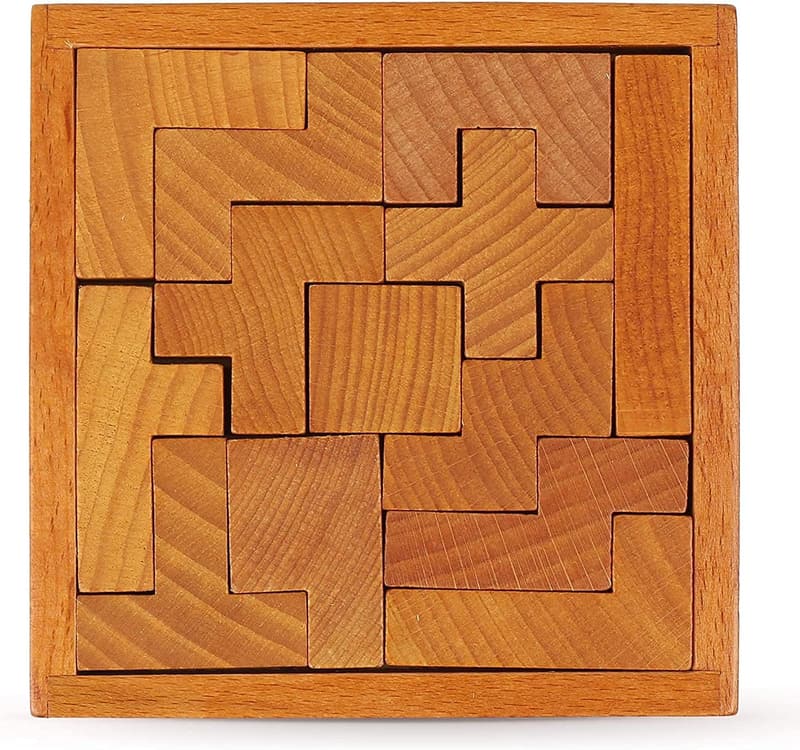 Brain Teaser Wooden Puzzle for Kids & Adults