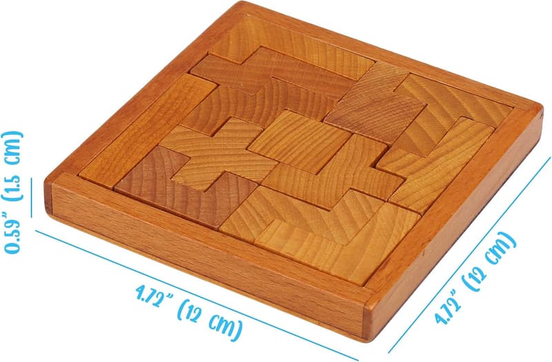 Brain Teaser Wooden Puzzle for Kids & Adults