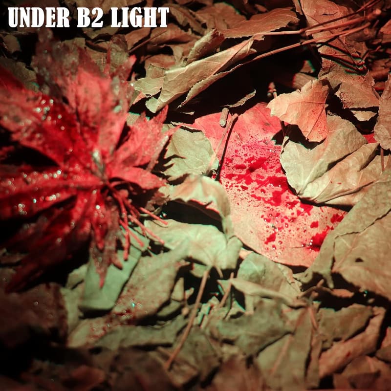 Deer Blood Tracking Flashlight for Hunters