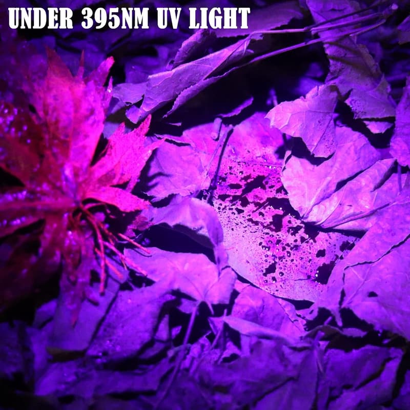 Deer Blood Tracking Flashlight for Hunters