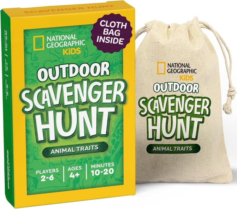 Summer Scavenger Hunt Card Game for Kids