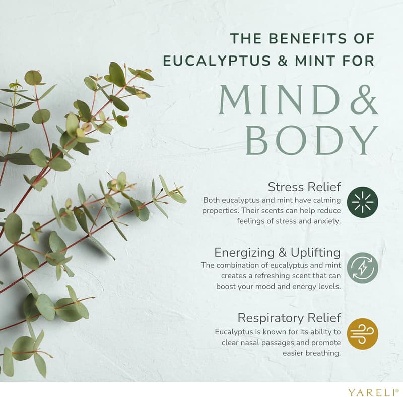 Birthday Eucalyptus Mint Shower Steamers Spa Gift