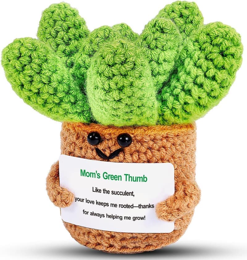 Mother's Day Crochet Succulent Plant Decor