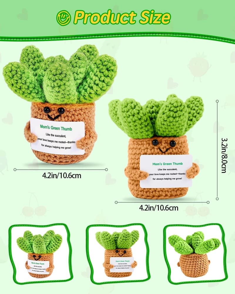 Mother's Day Crochet Succulent Plant Decor