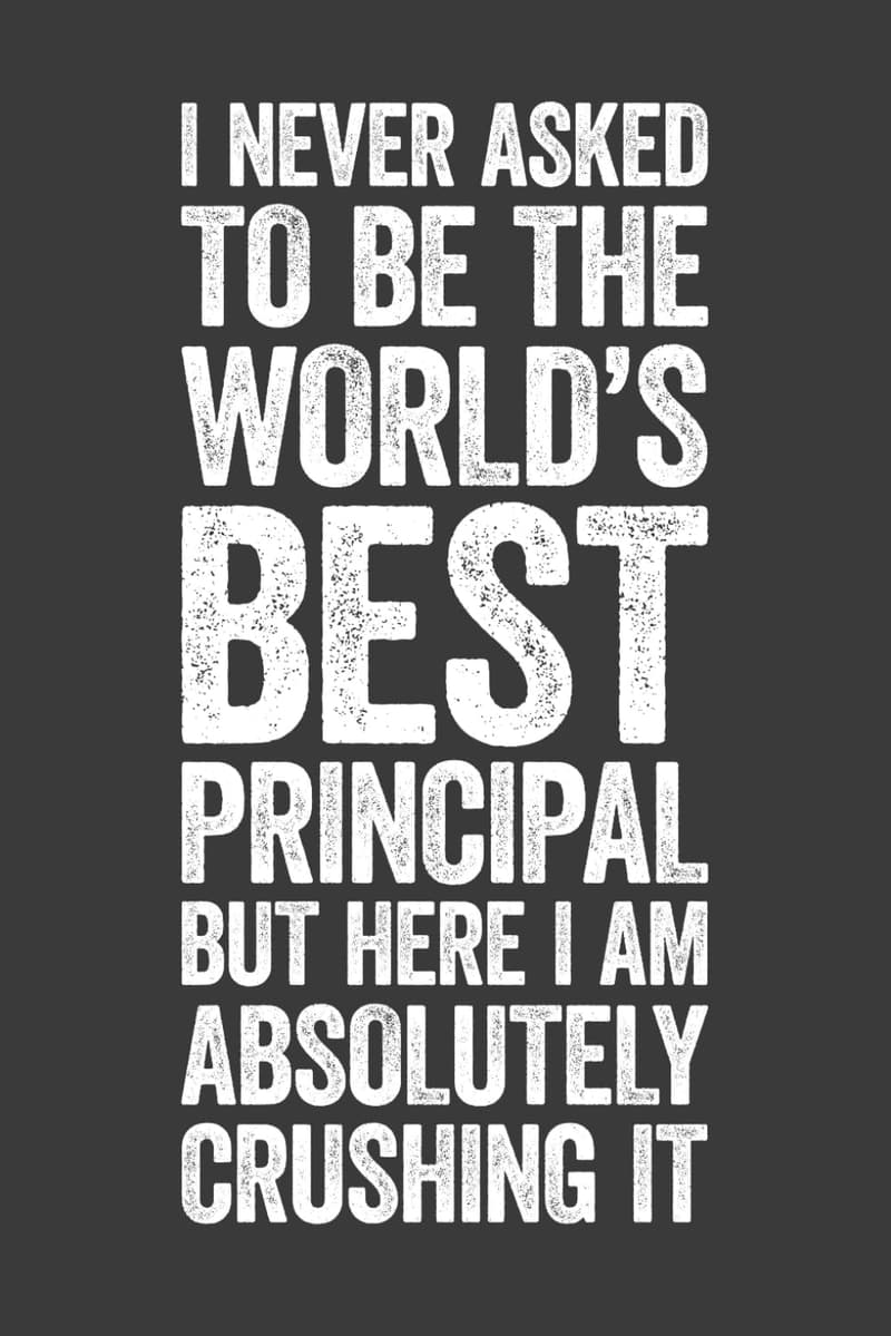 Principal Joke Notebook - 6x9 Lined Work Gift