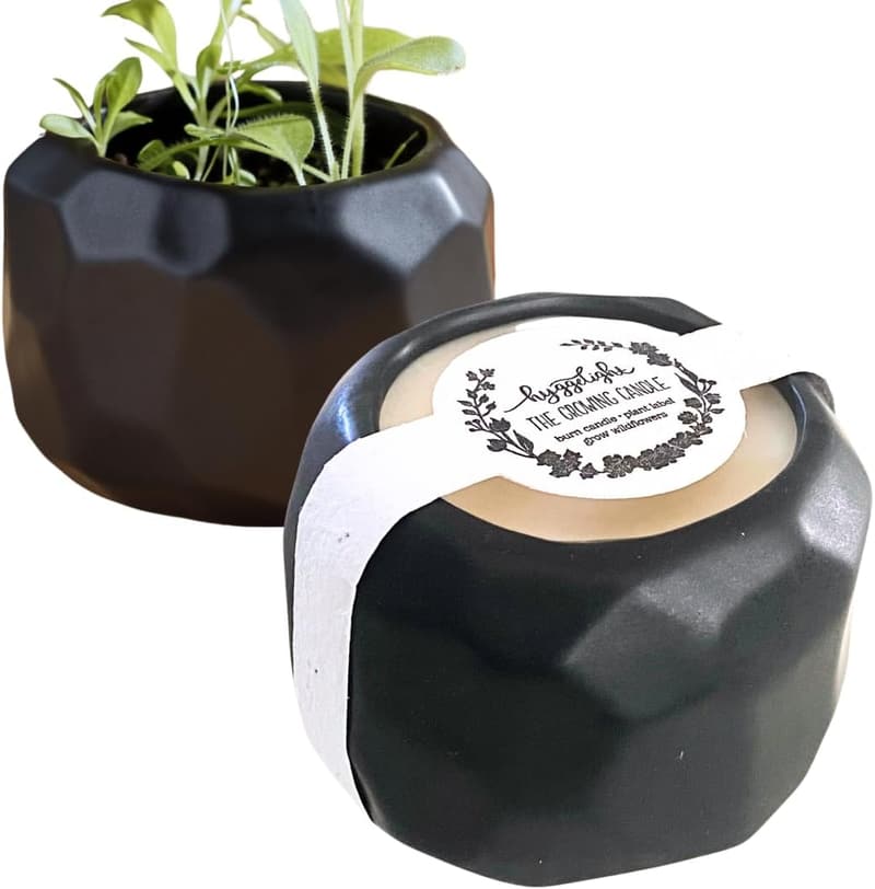 Aromatherapy Growing Candle, Lemongrass Scented Soy Wax