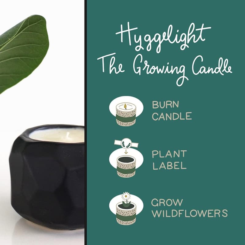 Aromatherapy Growing Candle, Lemongrass Scented Soy Wax