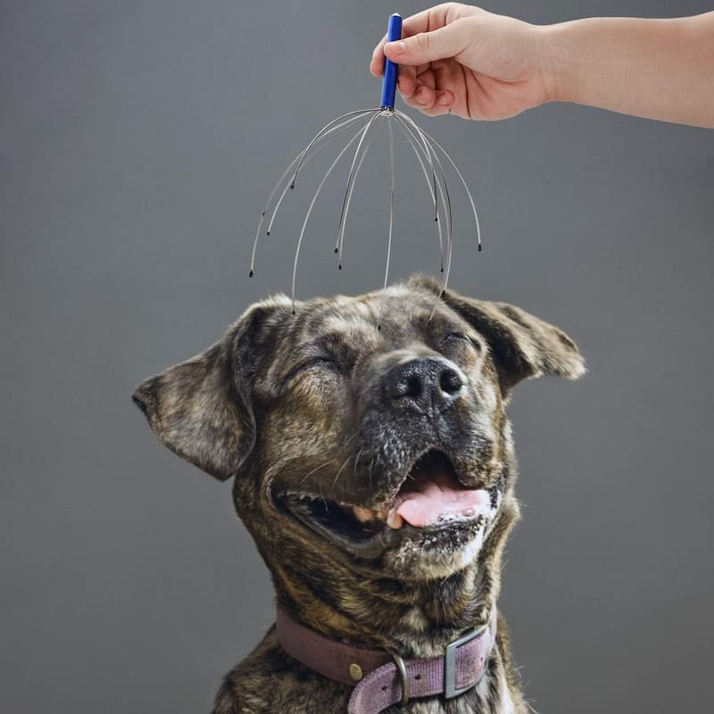 Scalp Massagers for Relaxation & Stress Relief