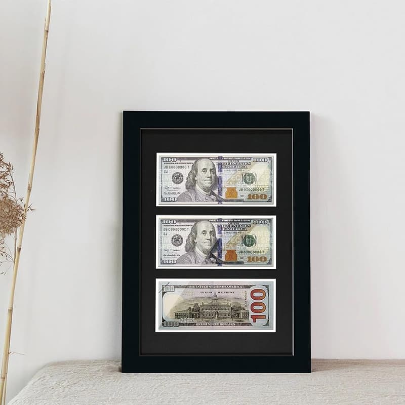 Dollar Bill Frame with Black Mat & Easel Stand