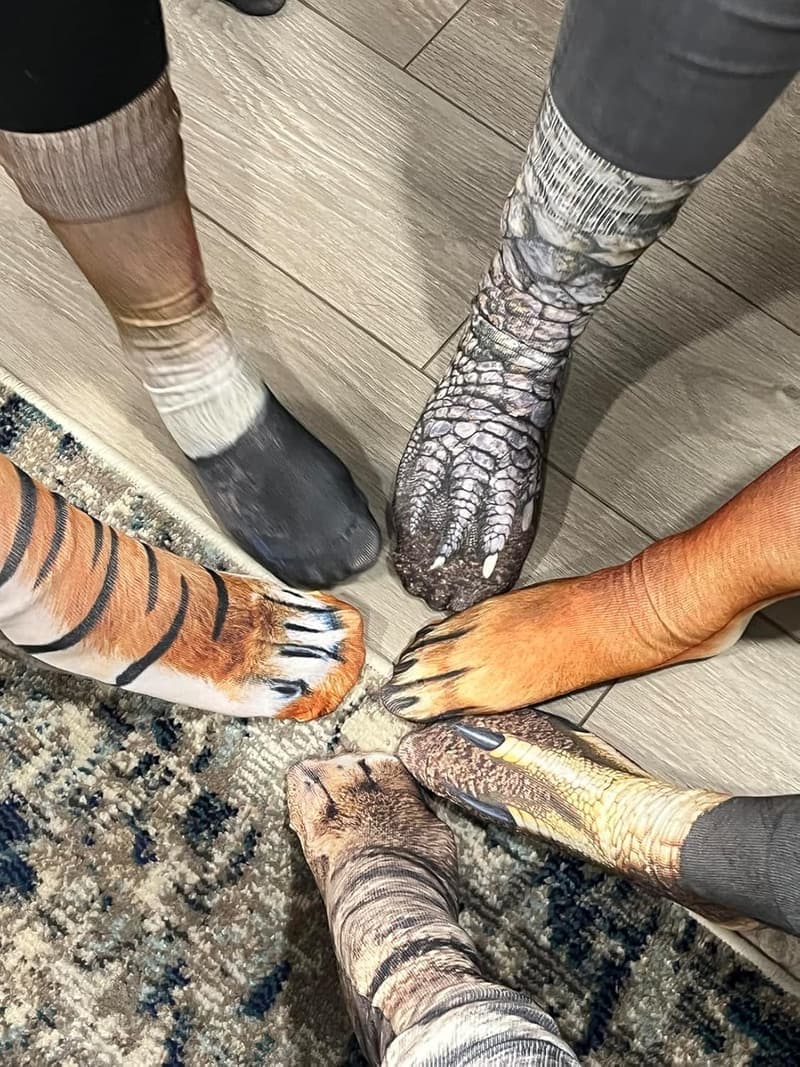White Elephant Funny Animal Socks for Adults & Kids