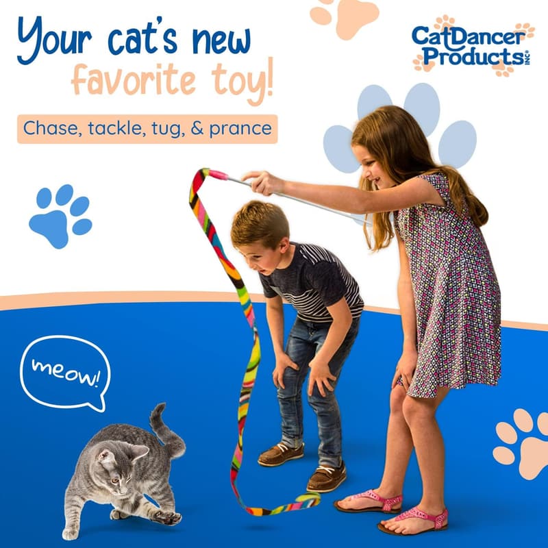 Interactive Cat Charmer Toy