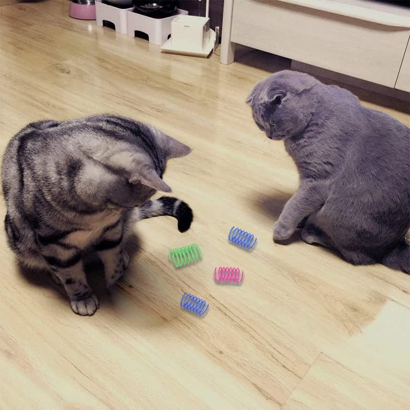 Interactive Cat Spring Toy Set, 12-Piece
