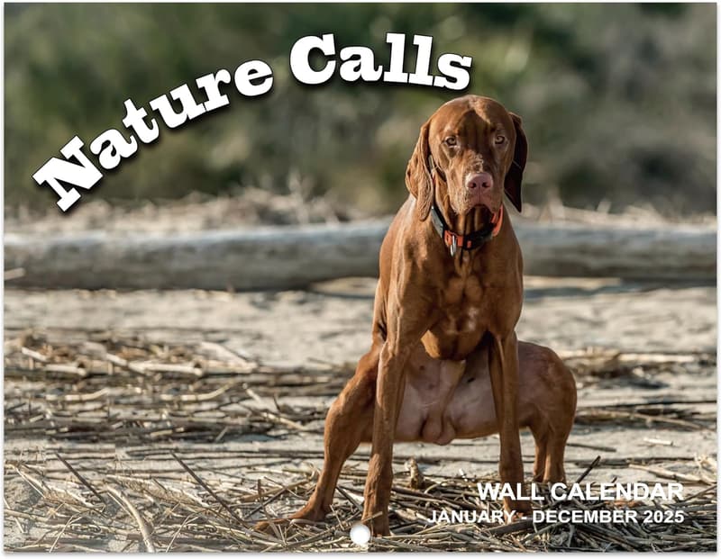 2025 Pooping Dogs Funny Wall Calendar, 11
