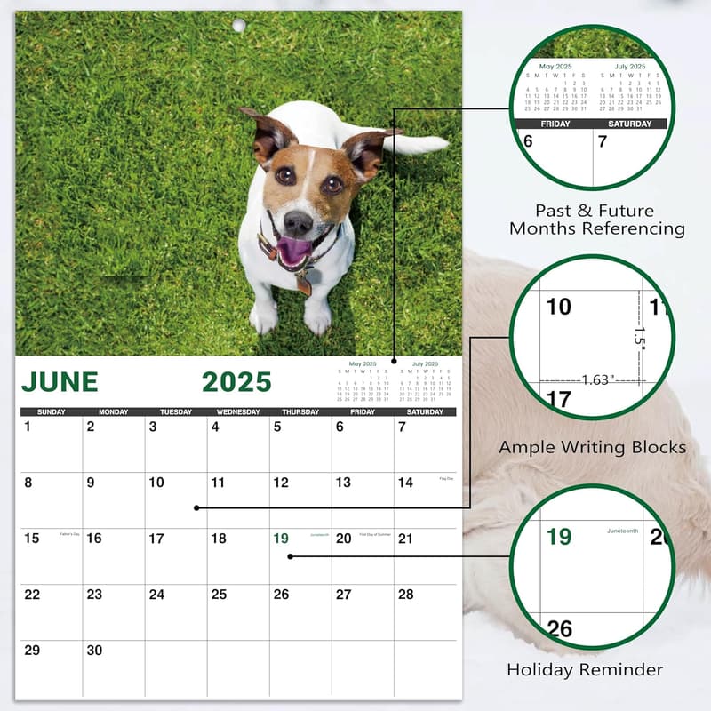 2025 Pooping Dogs Funny Wall Calendar, 11