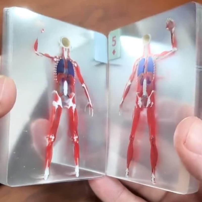 Anatomy 3D Skeleton Playing Cards, Waterproof Deck (2pc)
