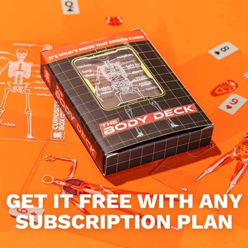 Anatomy 3D Skeleton Playing Cards, Waterproof Deck (2pc)