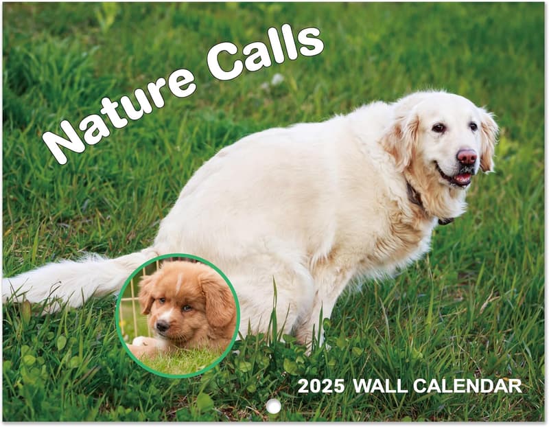 2025 Pooping Dogs Wall Calendar - Fun Family Gift