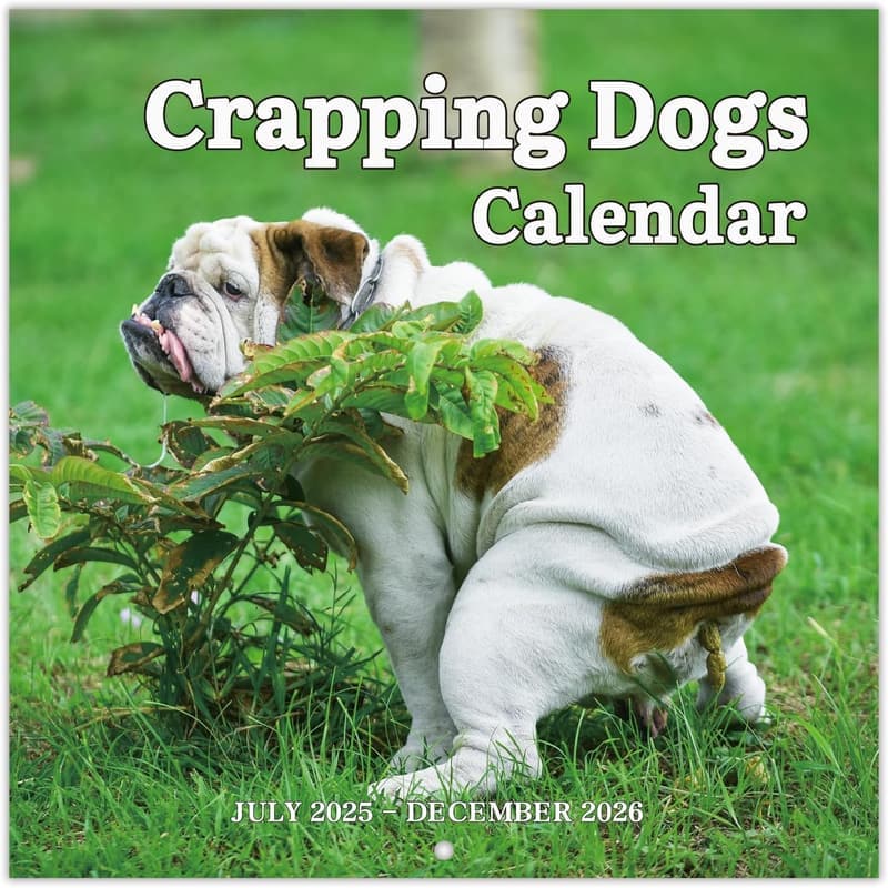 2025-2026 Pooping Dogs Wall Calendar - White Elephant Gift