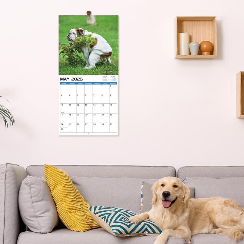 2025-2026 Pooping Dogs Wall Calendar - White Elephant Gift