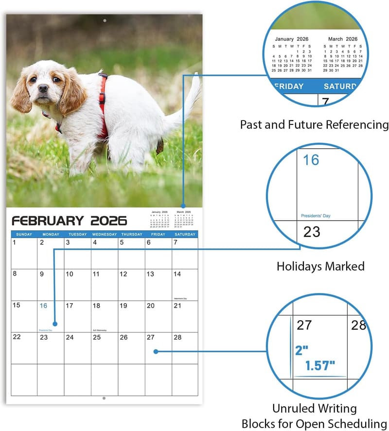2025-2026 Pooping Dogs Wall Calendar - White Elephant Gift