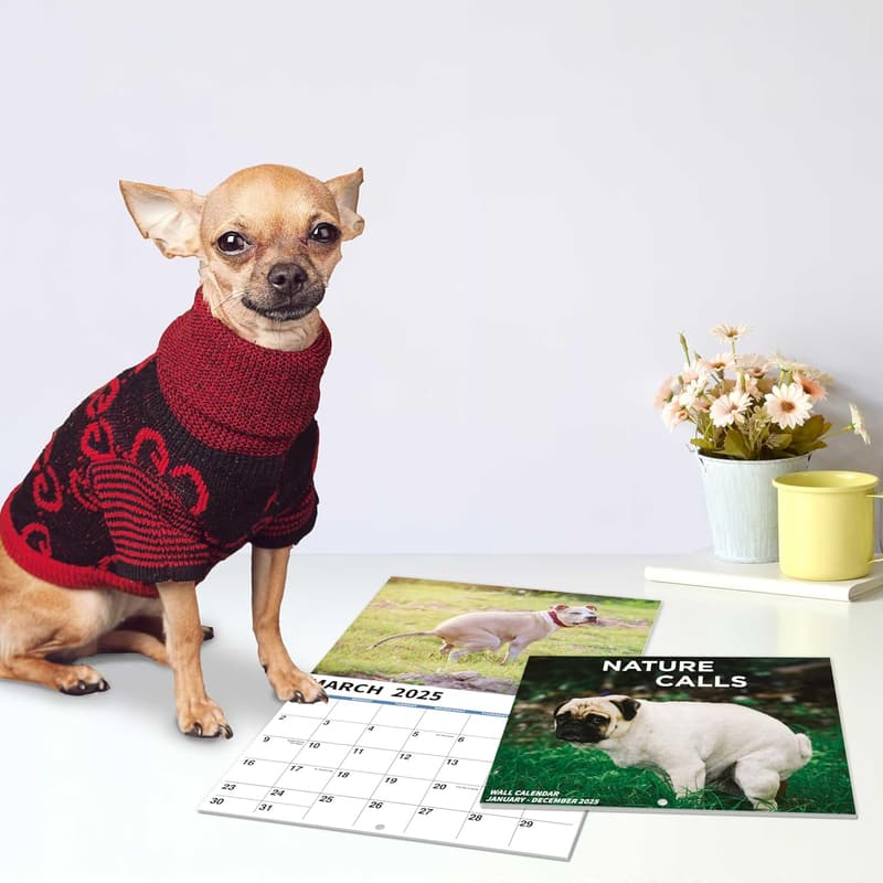 2025 Pooping Dogs Gag Calendar, White Elephant Gift