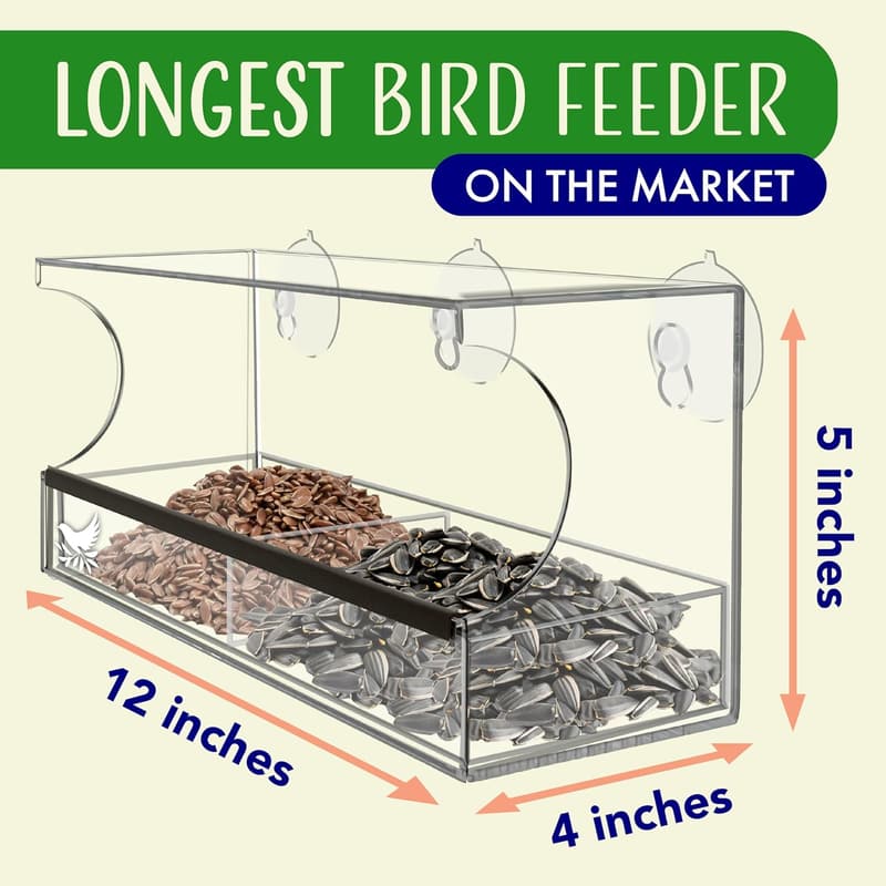 Bird Feeder with Strong Suction Cups for Window Viewing
