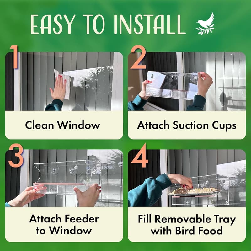 Bird Feeder with Strong Suction Cups for Window Viewing