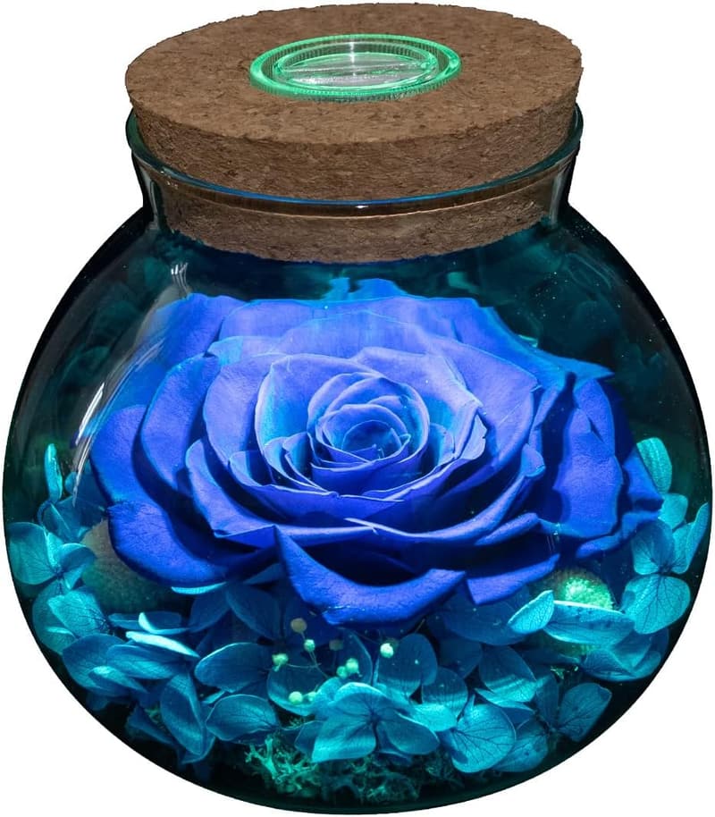 Valentine's Eternal Rose Mood Light Wishing Bottle