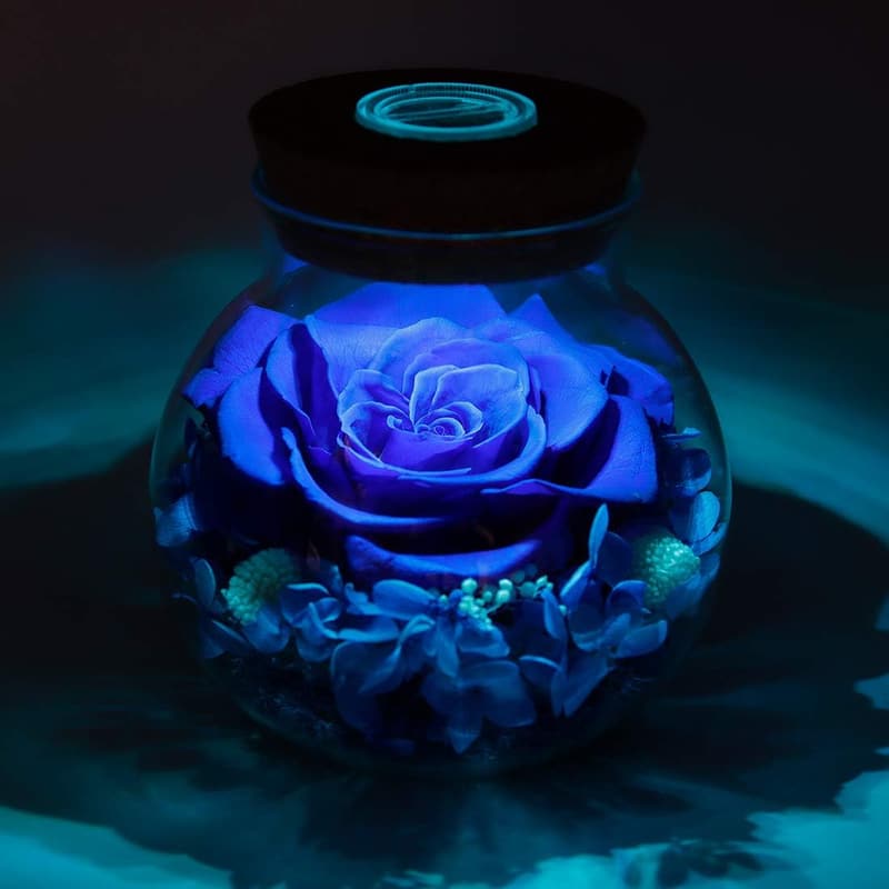 Valentine's Eternal Rose Mood Light Wishing Bottle