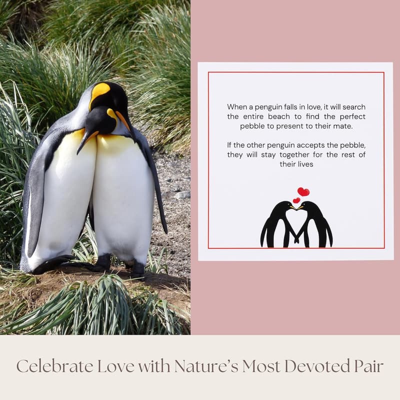 Anniversary Gift: Penguin Pebble Keepsake for Couples