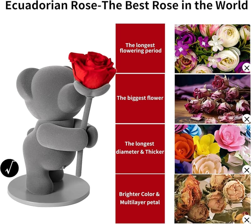 Valentine's Day Gift: Preserved Rose & Teddy Bear in Box