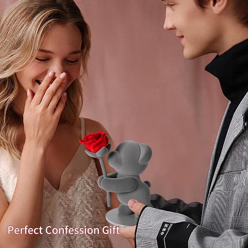 Valentine's Day Gift: Preserved Rose & Teddy Bear in Box